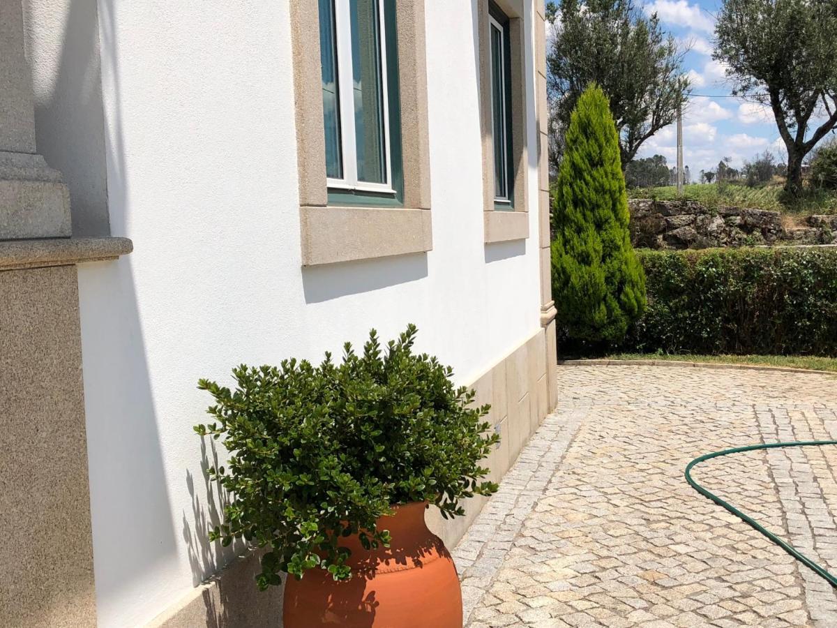 Solar Da Serra-Guesthouse Mangualde Zewnętrze zdjęcie